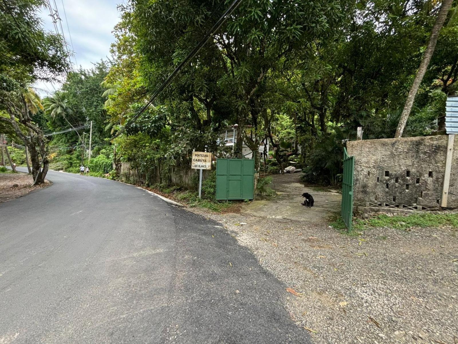 Casa Susen Lägenhet Montezuma Exteriör bild